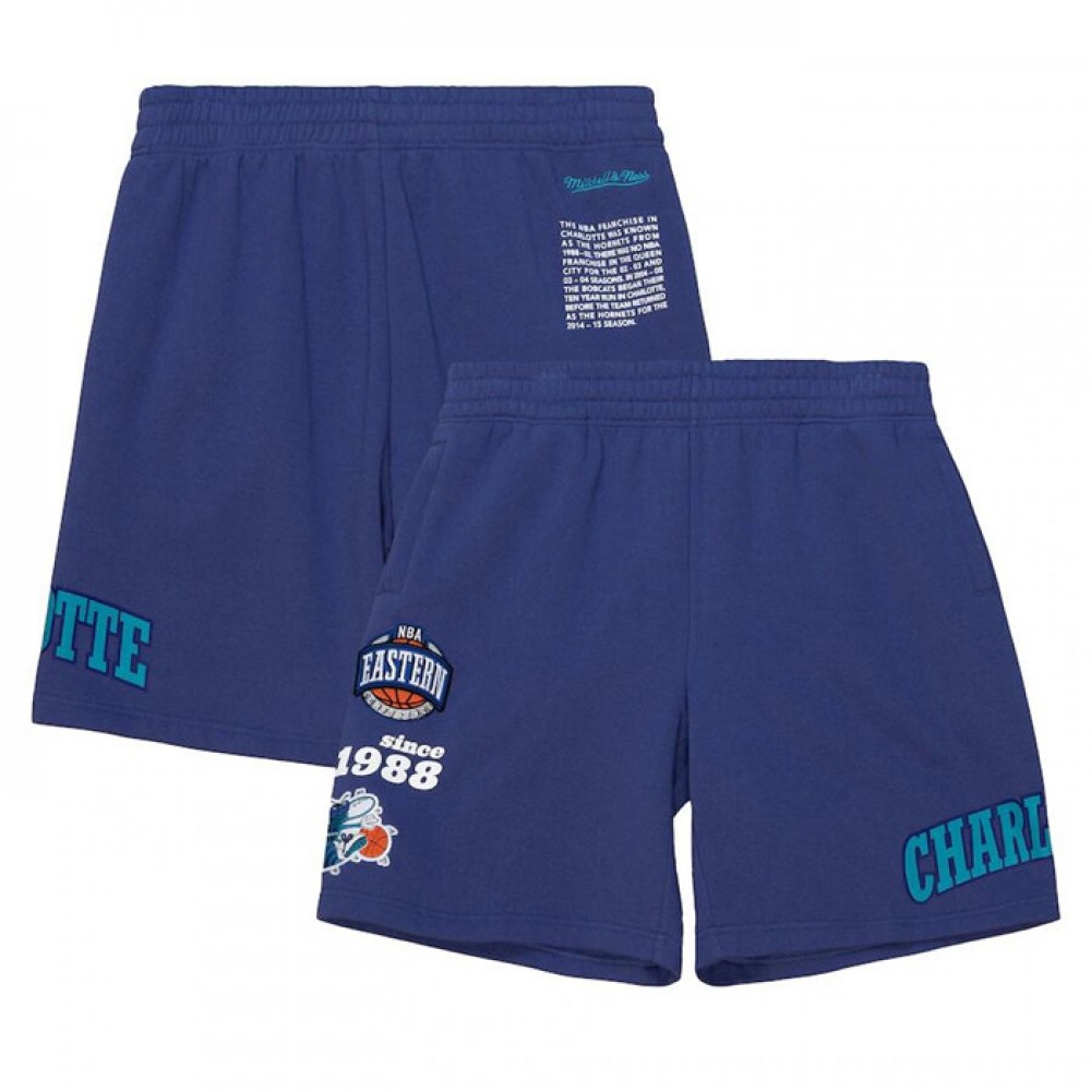 Men_s_Charlotte_Hornets_Purple_Shorts_abPhLNFnQ.jpg
